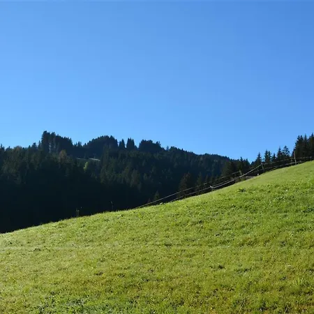 Hornflue - Baumann By Interhome 公寓