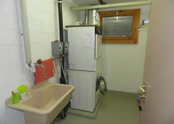 Hornflue - Baumann By Interhome Lejlighed