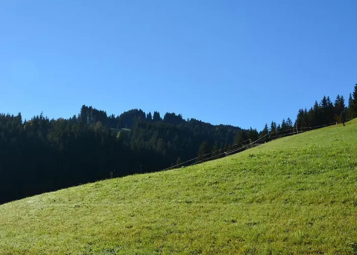 Hornflue - Baumann By Interhome Lejlighed