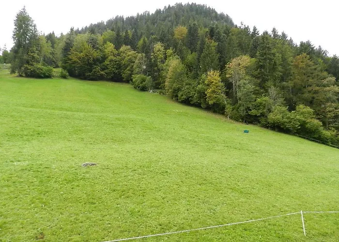 Lejlighed Hornflue - Baumann By Interhome